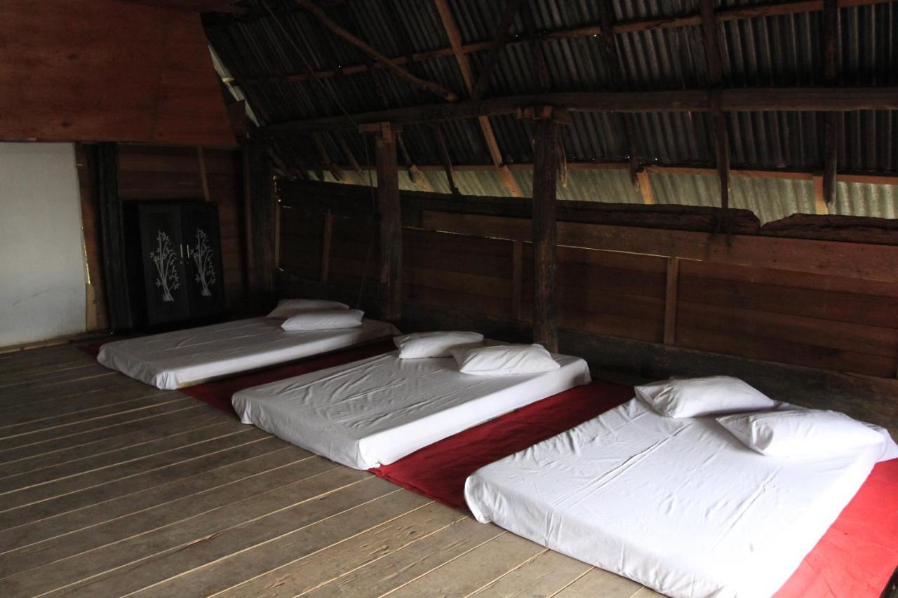 Sony Cottage Samosir Island المظهر الخارجي الصورة